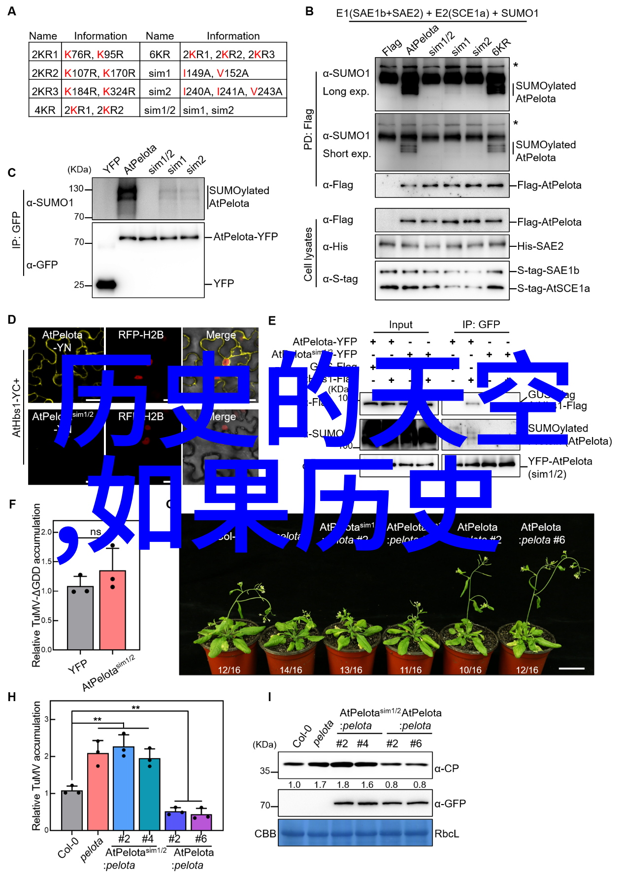 周末出行探索当地旅行社的精彩跟团游之旅