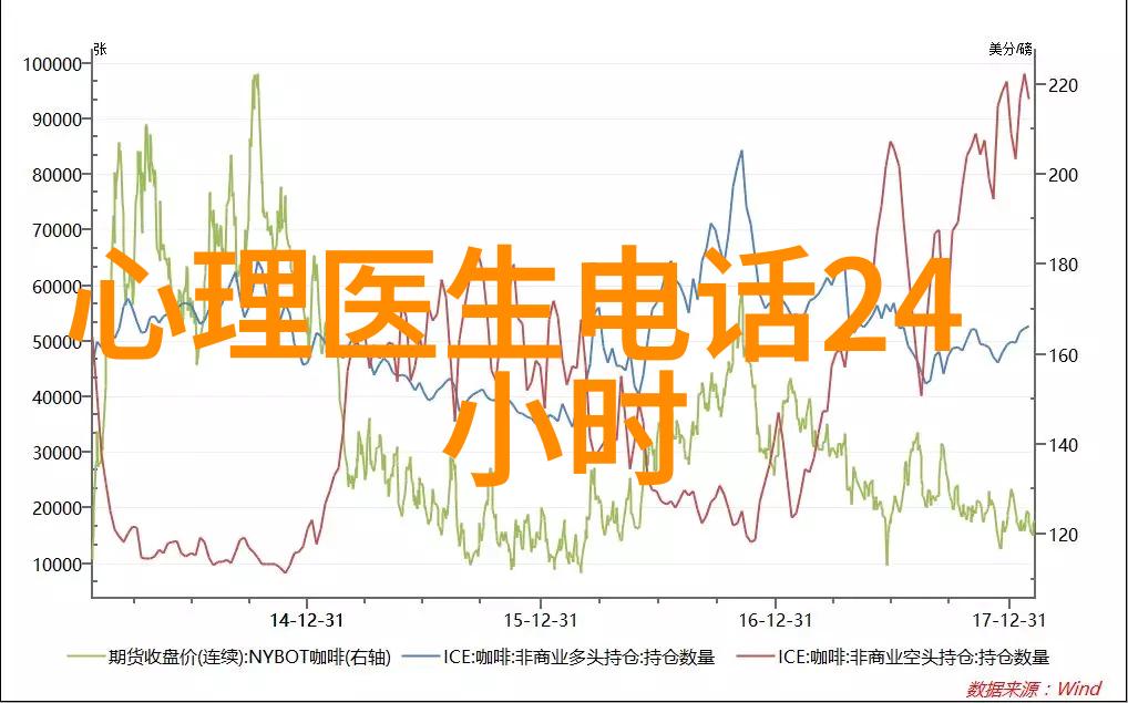 梦幻庄园的沉寂与变迁