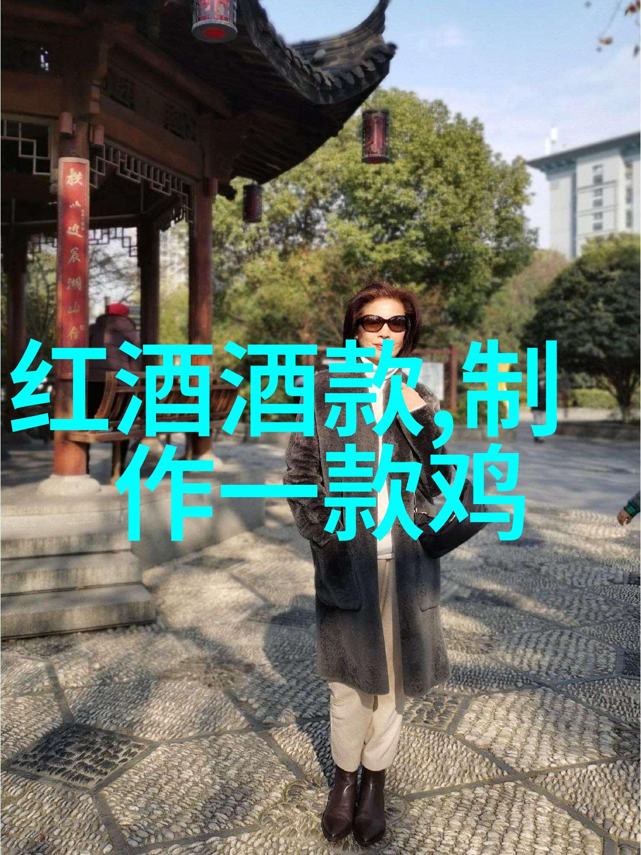 不同品种猫咪成本分析