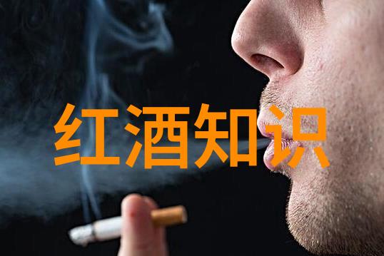 主题品味中国葡萄酒我国葡萄酒文化的独特魅力