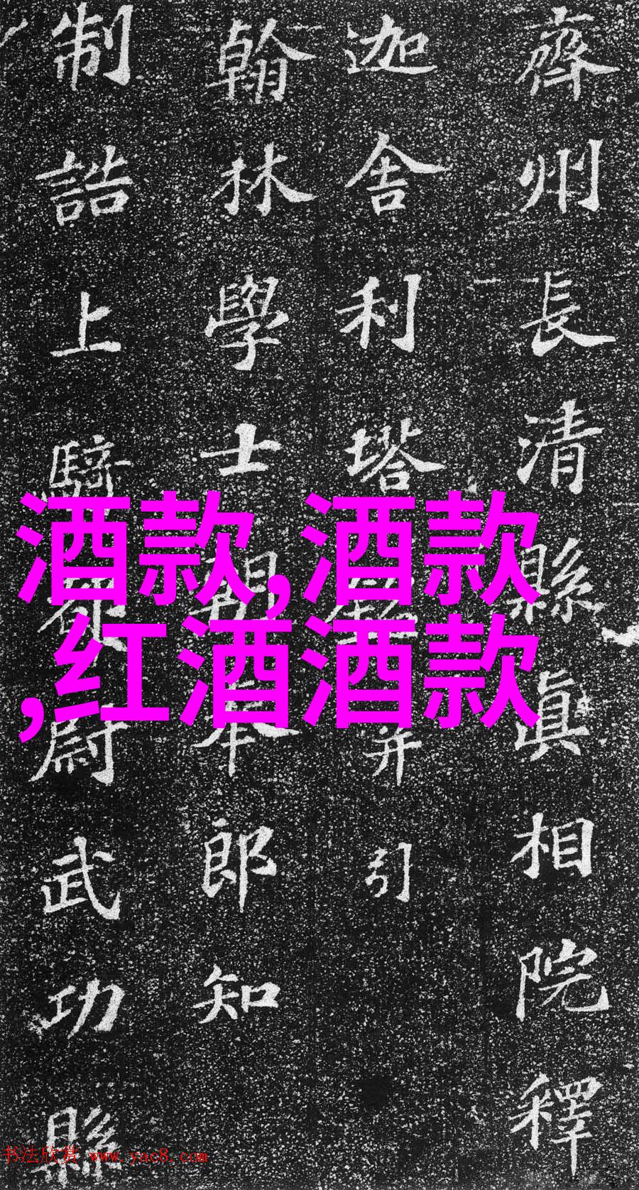 历史小说我亲眼见证的往昔