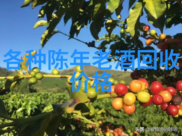 阿根廷主要葡萄酒产区-探索米兰达圣胡斯托和卡塔马尔克阿根廷葡萄酒之旅