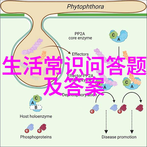 剑断明月楼弓残青石道为何这两个人物成为了千古佳话