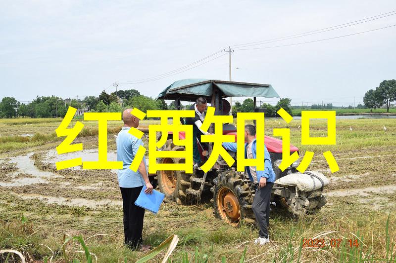 难道智利不想效仿葡萄酒业的成功经验来开发其天文旅游的巨大潜力吗特别是在45元内可以品尝国产红酒的推荐