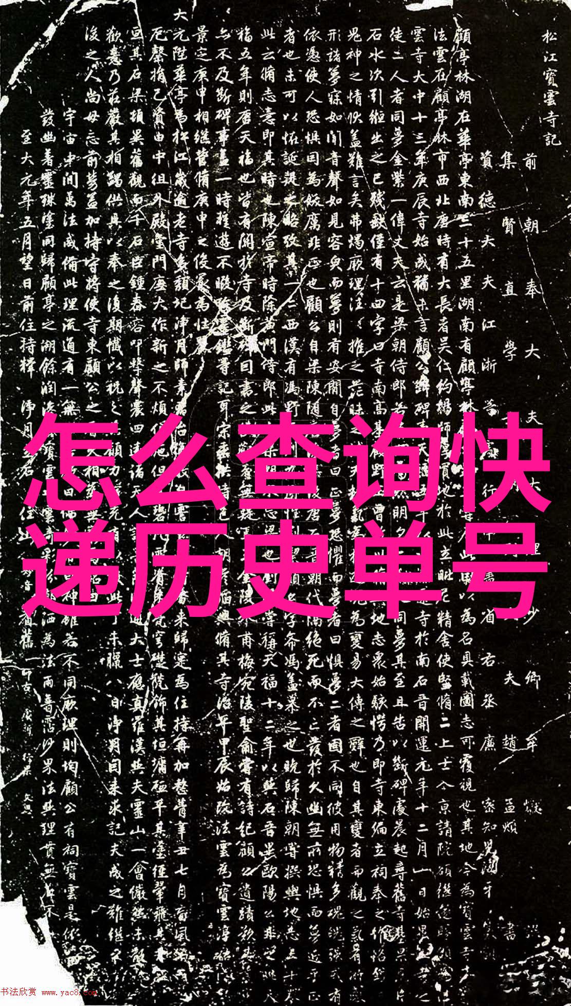 独特而迷人的英国短毛猫了解这一古老的爱好者宠物