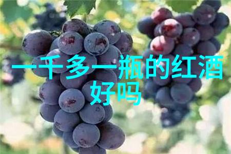 醉心于煮红酒文化揭秘古法酿造与现代艺术融合的故事