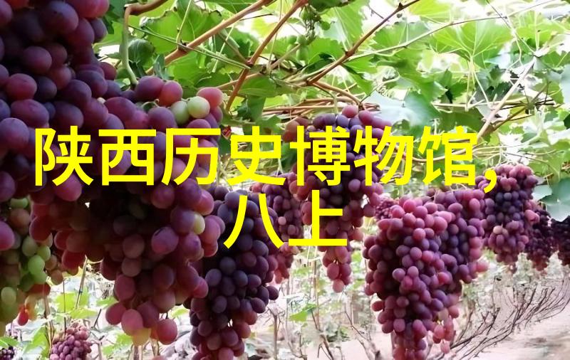 7k7k小游戏恐怖庄园德拉格拉夫酒庄的秘密