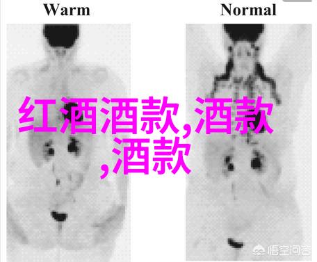 玫瑰花-绚烂无穷探索玫瑰花的多样品种世界