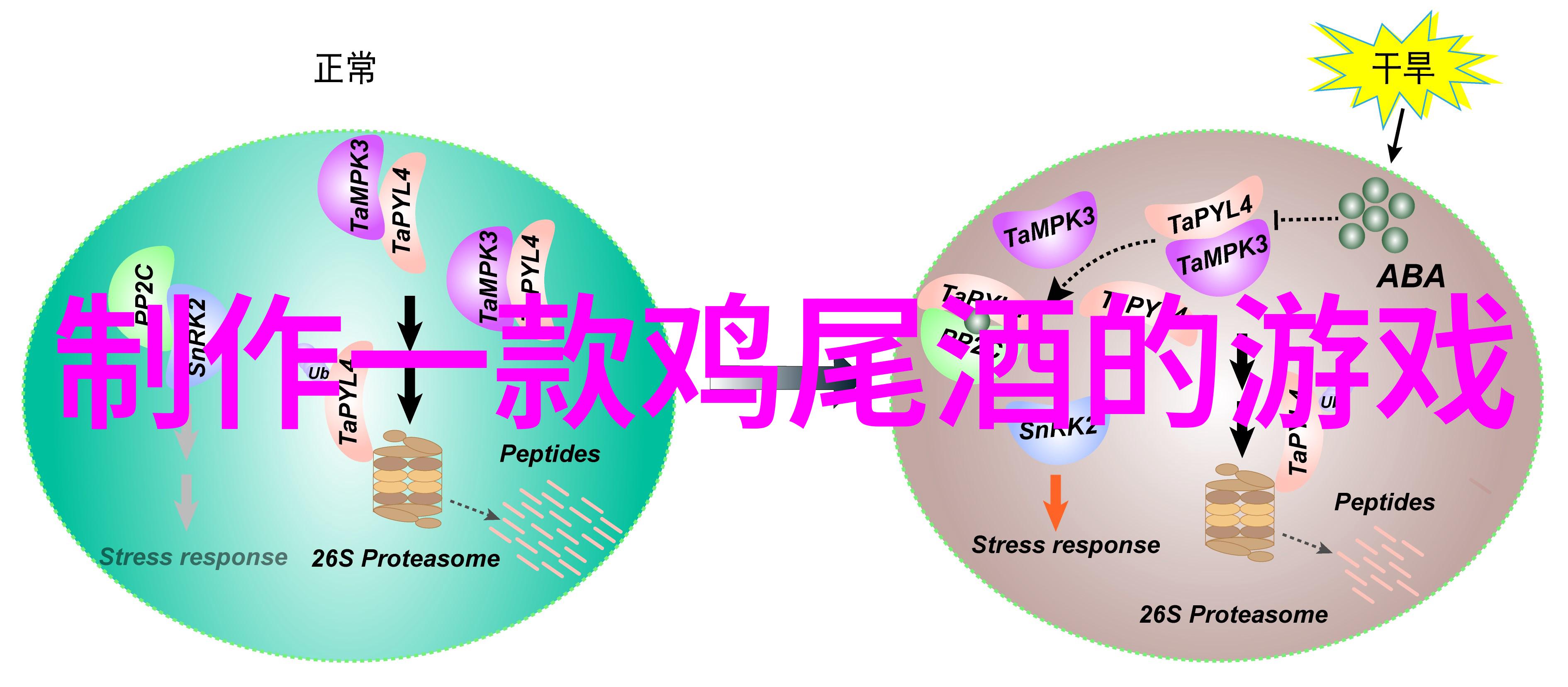 离深圳近霞多丽远3天游3城记