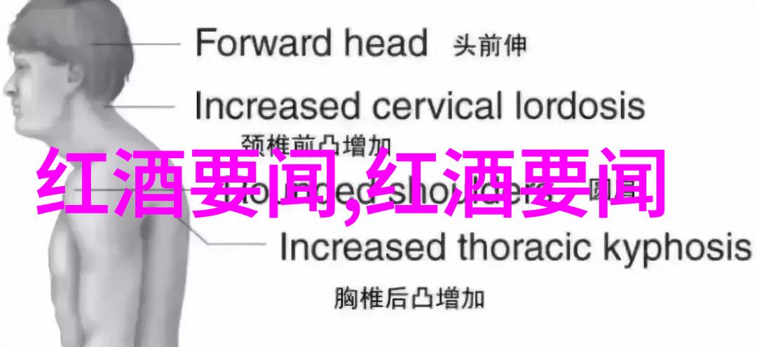 周边游旅行网自驾游探索未知享受自由之旅