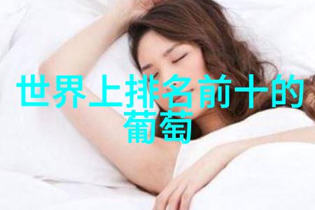 绘梦动漫揭秘手绘教学的艺术与技巧