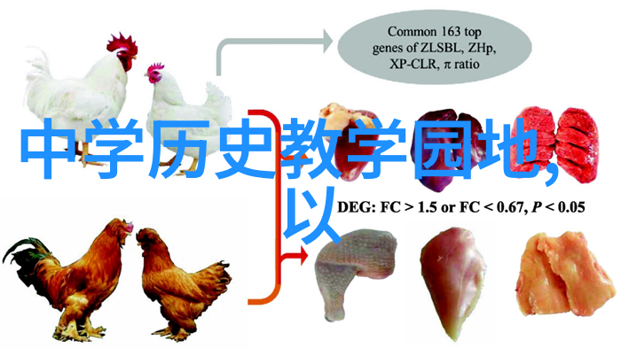 大河南岸的丰饶剖析黑龙江省内粮食生产强势区域