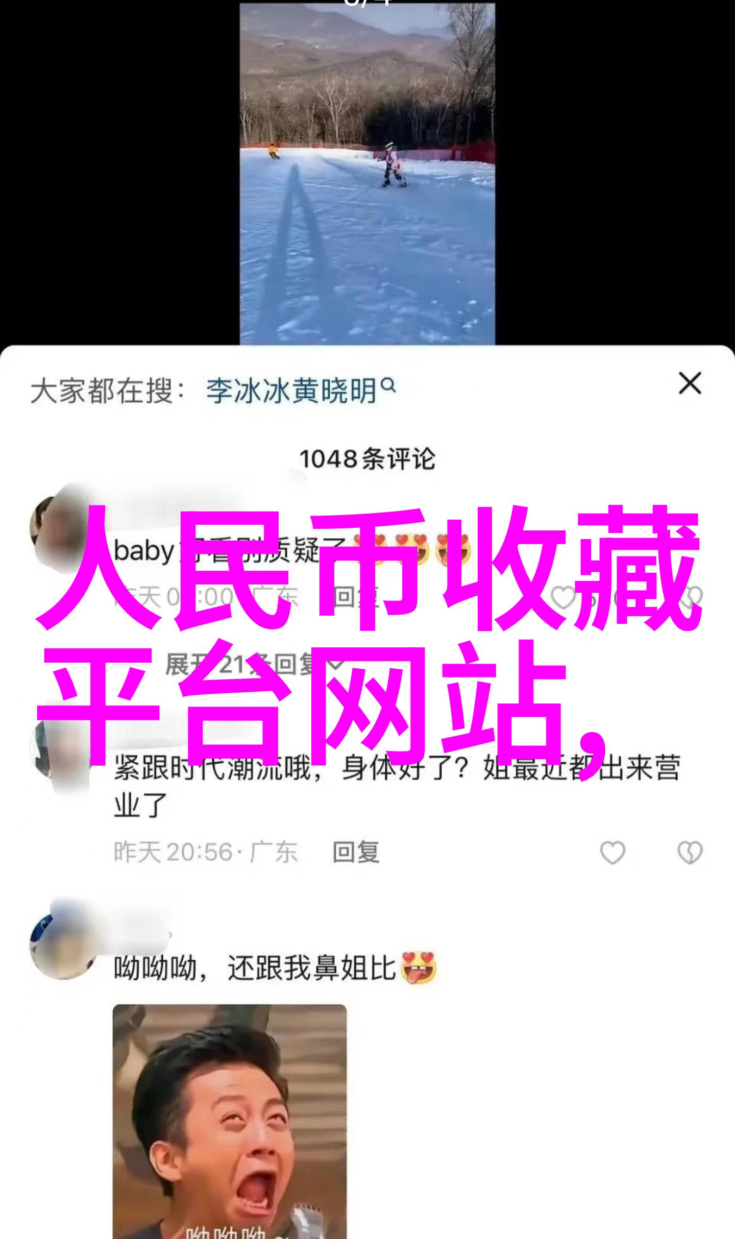 猫咪品种大全图解喵揭秘全球最萌的宠儿