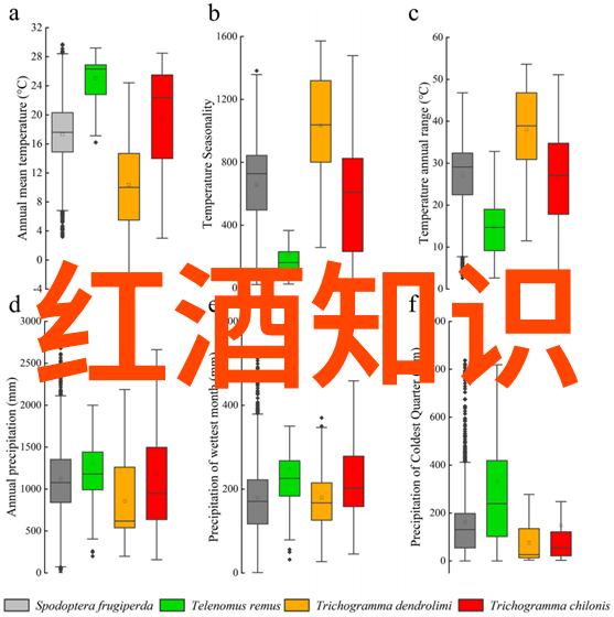 白玫瑰庄园南星山的主人公