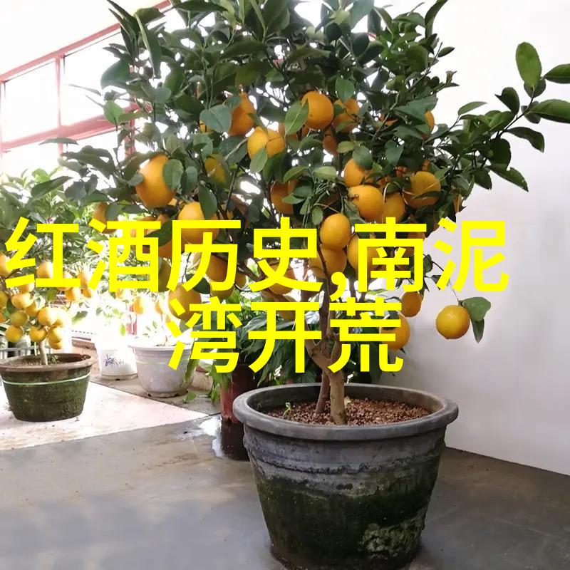 花开富贵揭秘全球最受欢迎的玫瑰品种