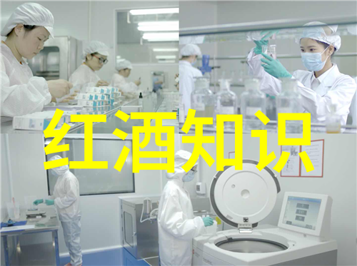 智慧探索解锁知识之门的秘钥