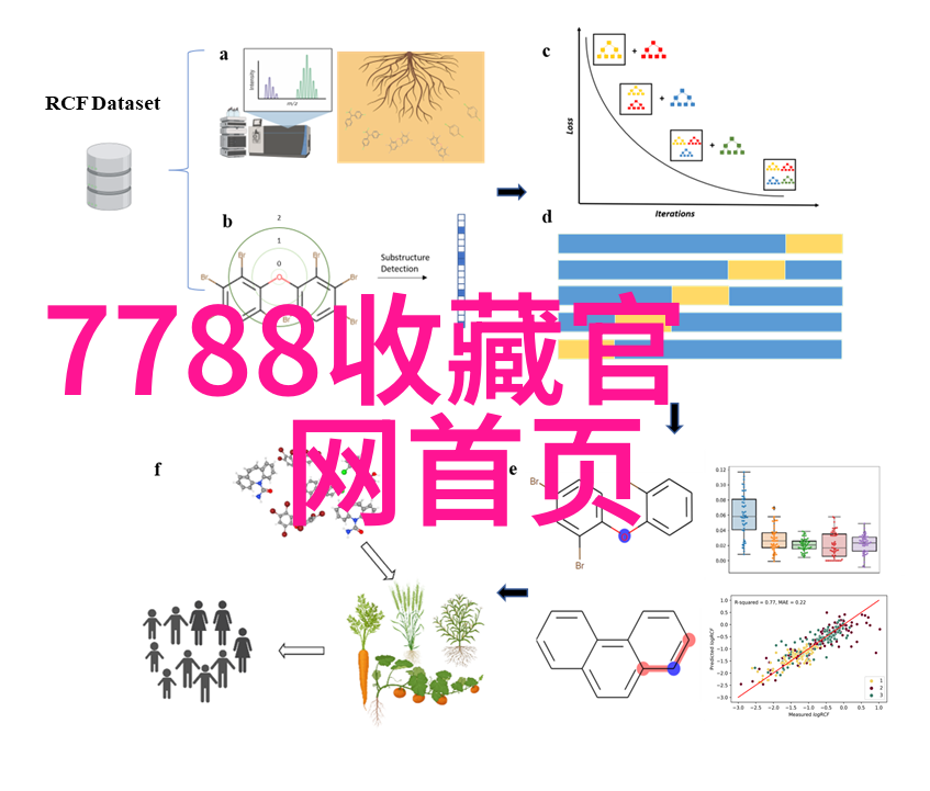 姜可的故事姜可全文免费阅读小说