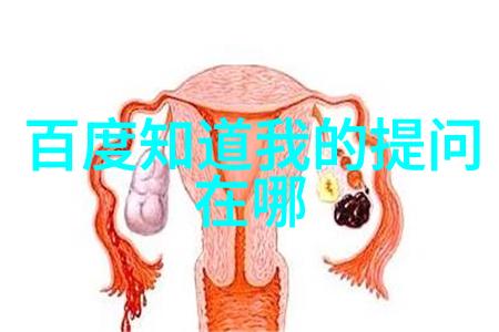 历史复习大作战八上奇遇记