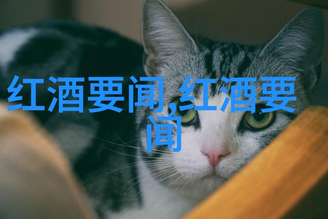 猫品种图片大全集 - 探秘世界各种精彩的猫品种图片