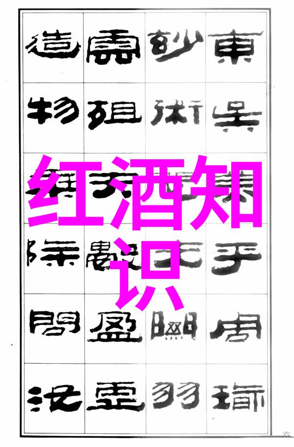 与过去相比现在我们拍照更真实了吗探讨高清人像摄影技巧与其意义