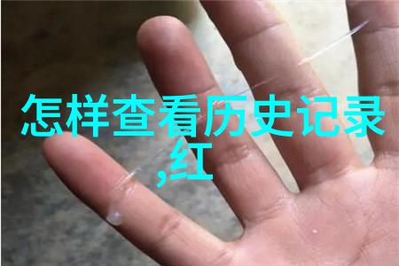 逻辑迷宫深入浅出理解有趣智力问题背后的策略