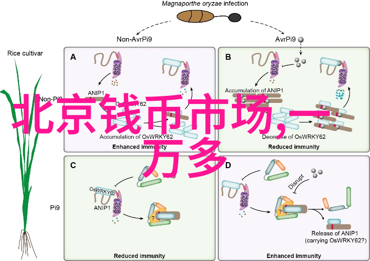 喜剧王国里的点题挑战啊哈成了常态这才是真正的快乐