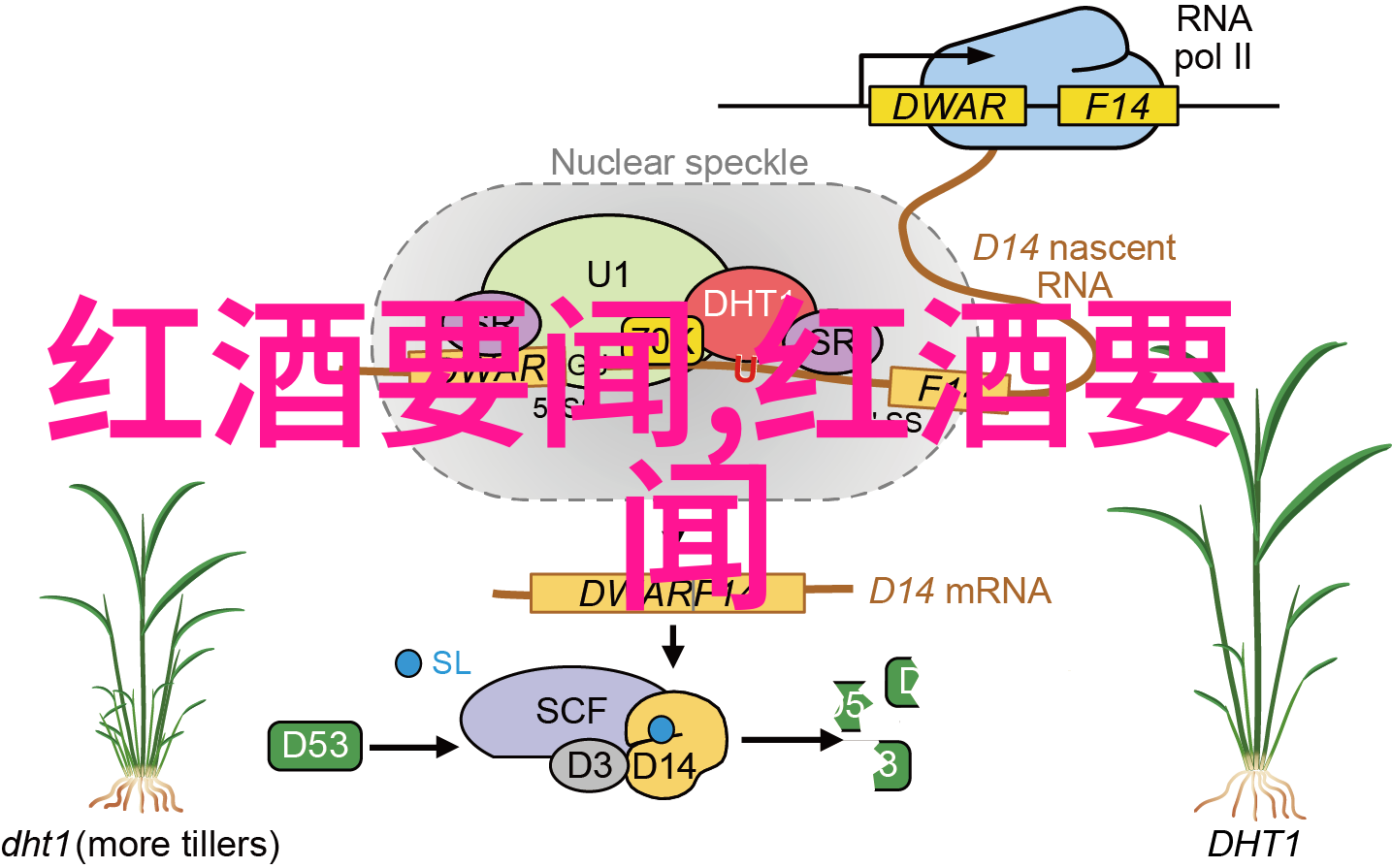 法律援助-12348法律援助服务免费解答您法律难题