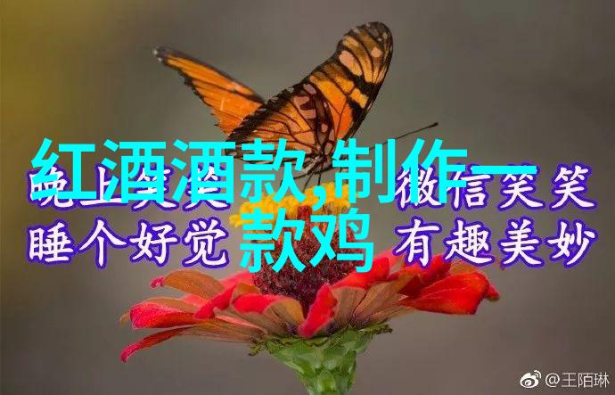 学长的笔墨智慧一错百放的学习秘诀