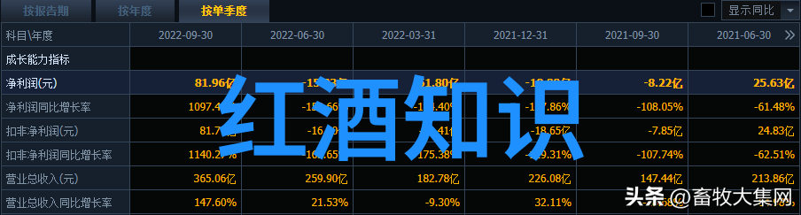 凝儿长大了从梦想的起点到成就的巅峰