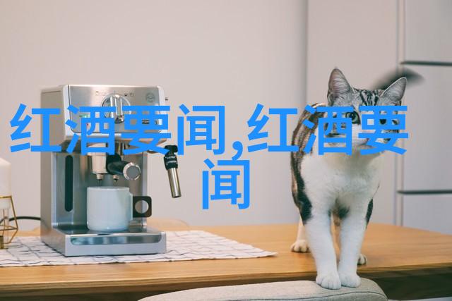 猫咪宝贝各种可爱的猫品种名称