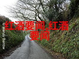 主题-葡萄酒之旅世界各地的葡萄酒生产国与文化探秘