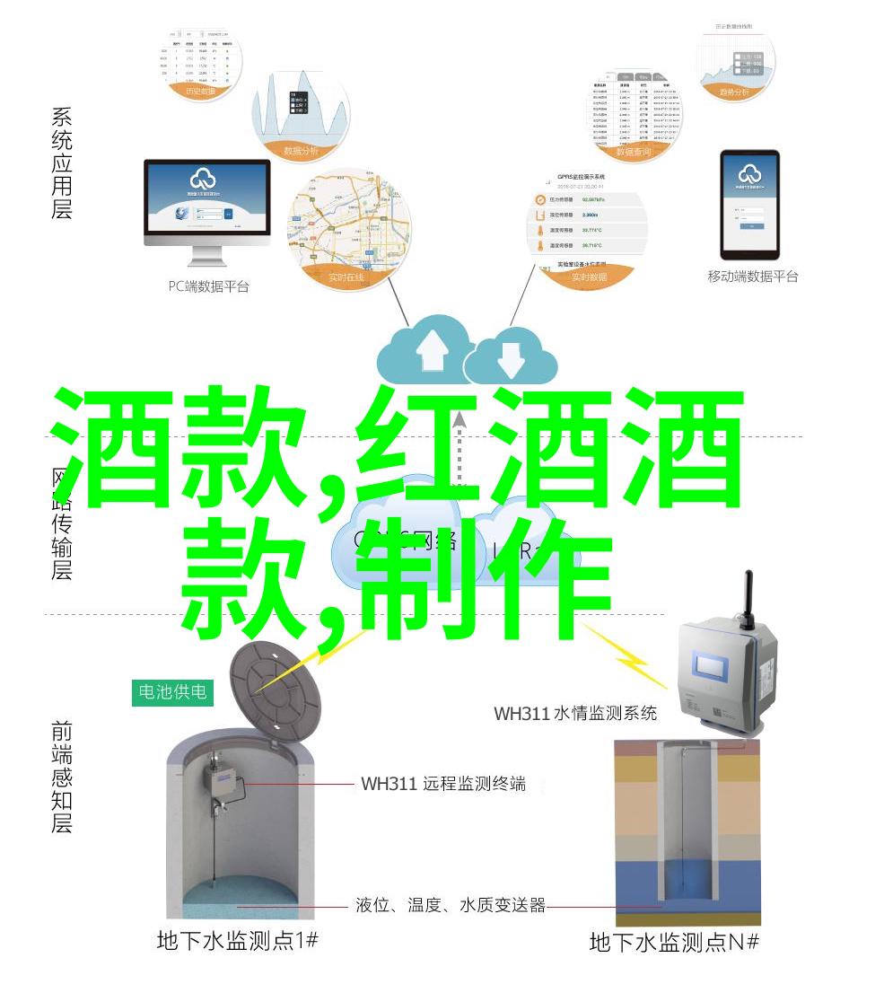 美国本土之星美国长毛和短毛双胞胎的魅力对比分析