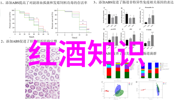 腾讯问卷app我是如何用一键发布让调查更高效的