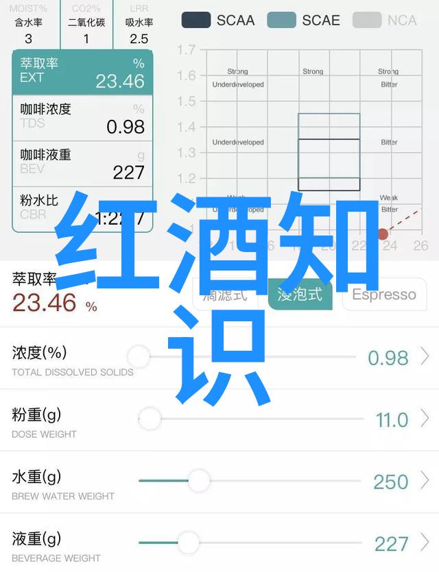 动漫人物绘制入门指南新手友好的动漫角色创作教程