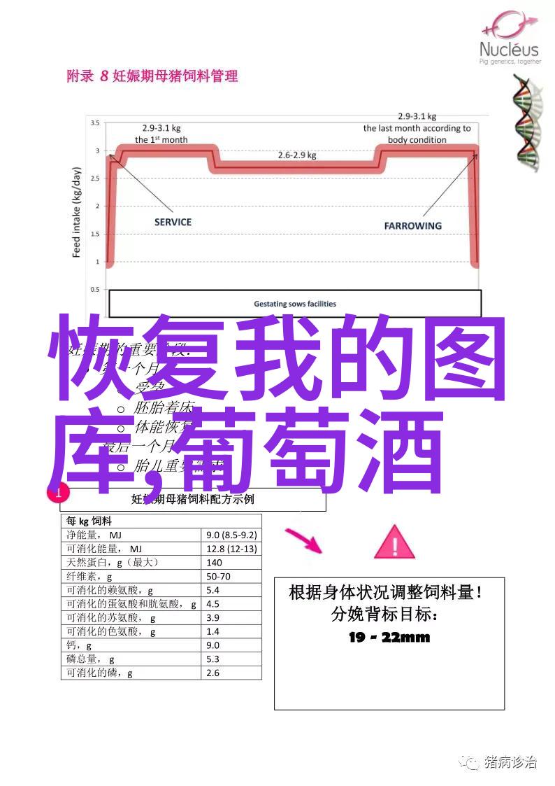 西汉时我国主要粮食产区古人尝试采用PtillantNaturel或ptnat法制作起泡酒