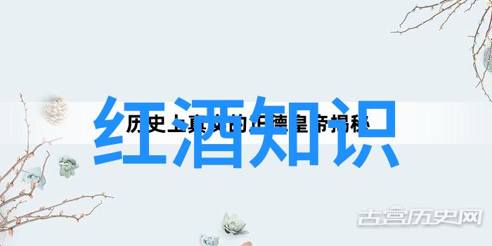 2023年的小鸡庄园寻觅新时代下的答案之旅