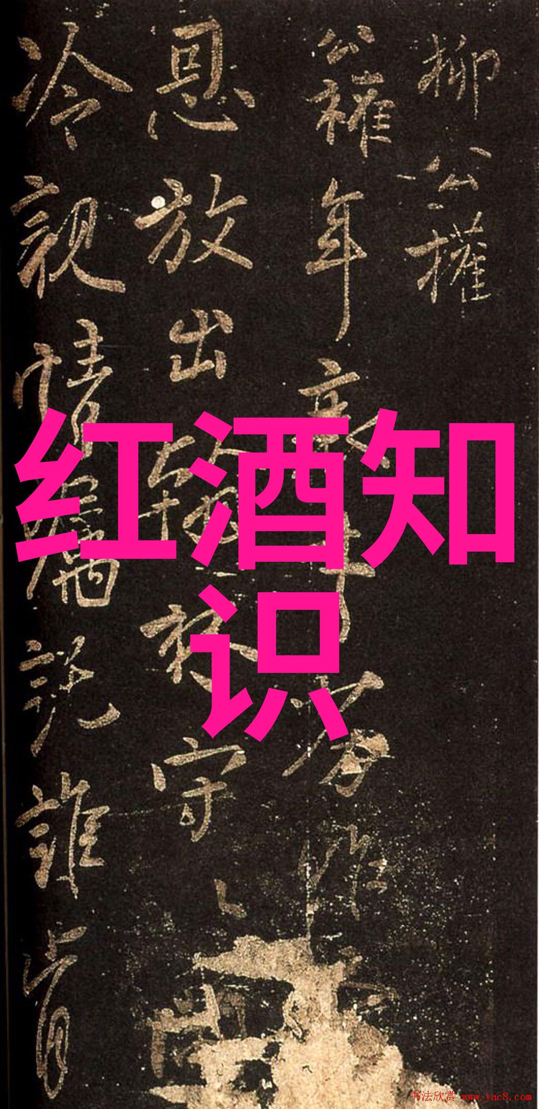 足迹跨世纪重温36位开创新局面的历史英雄们