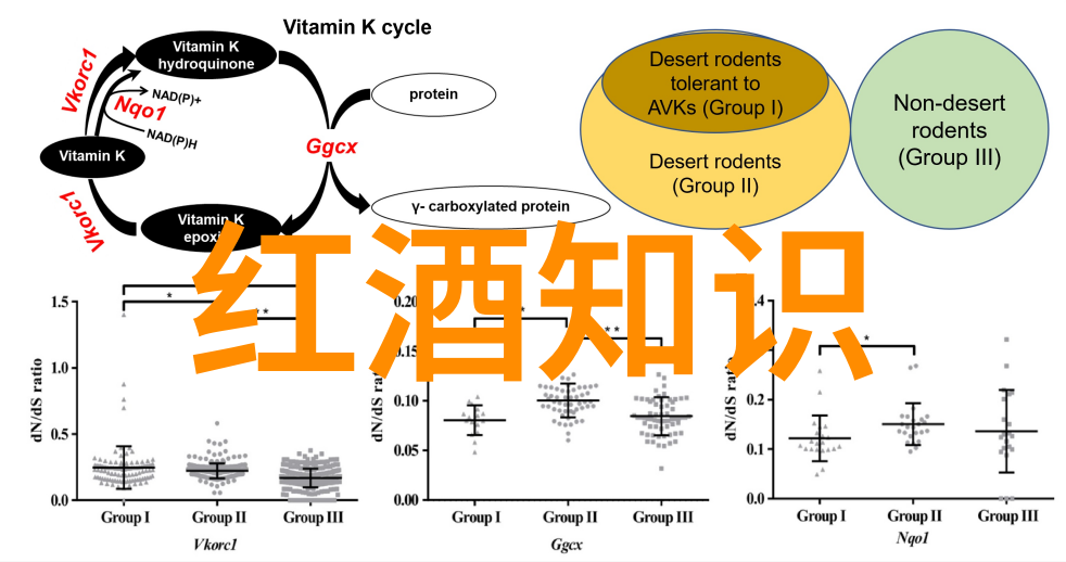 英雄传说十人十故事的壮阔篇章