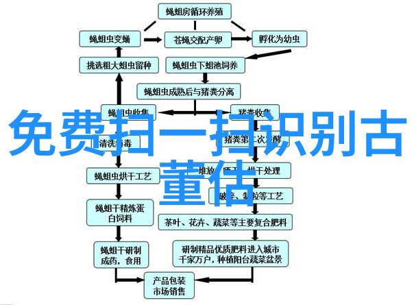 古董鉴定中心的秘密之门揭开珍贵收藏的迷雾