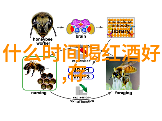 解锁蚂蚁庄园小课堂2021年9月8日答案智慧成长的宝藏地图