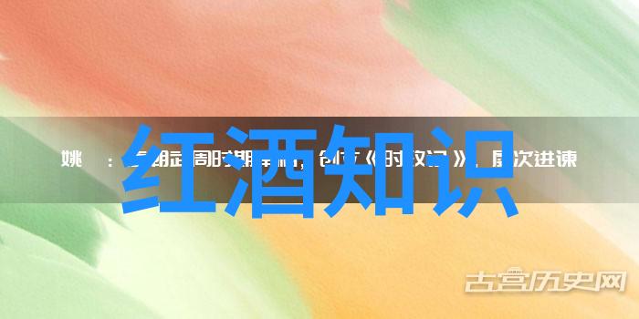 探究指数基金多样性比较不同指数基金的投资策略与风险管理机制