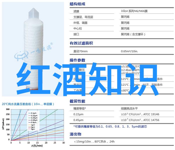 暑假适合带娃旅游的地方咱们去哪儿玩亲子游的热门秘密地