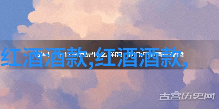 问答之门登录的迷雾