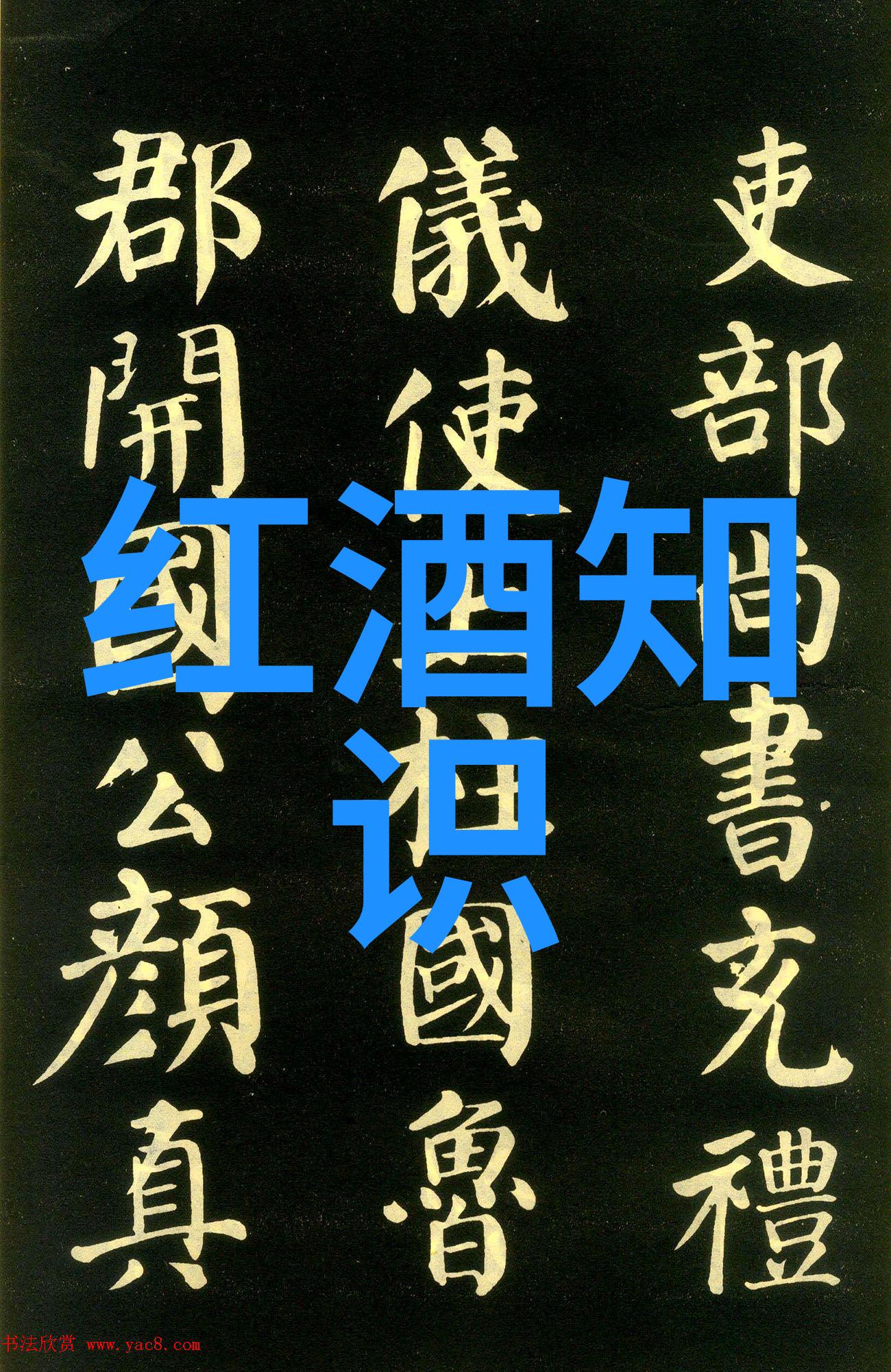 蚂蚁庄园答案解析揭秘今日谜题解决之道