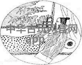 我来解释法国波尔多你知道这意味着啥吗