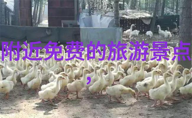 喜欢霞多丽干白葡萄酒的看这里