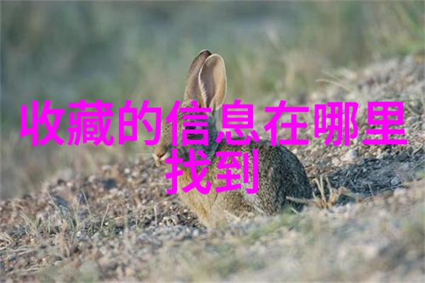 姐姐真漂亮5电视剧都市爱情励志剧