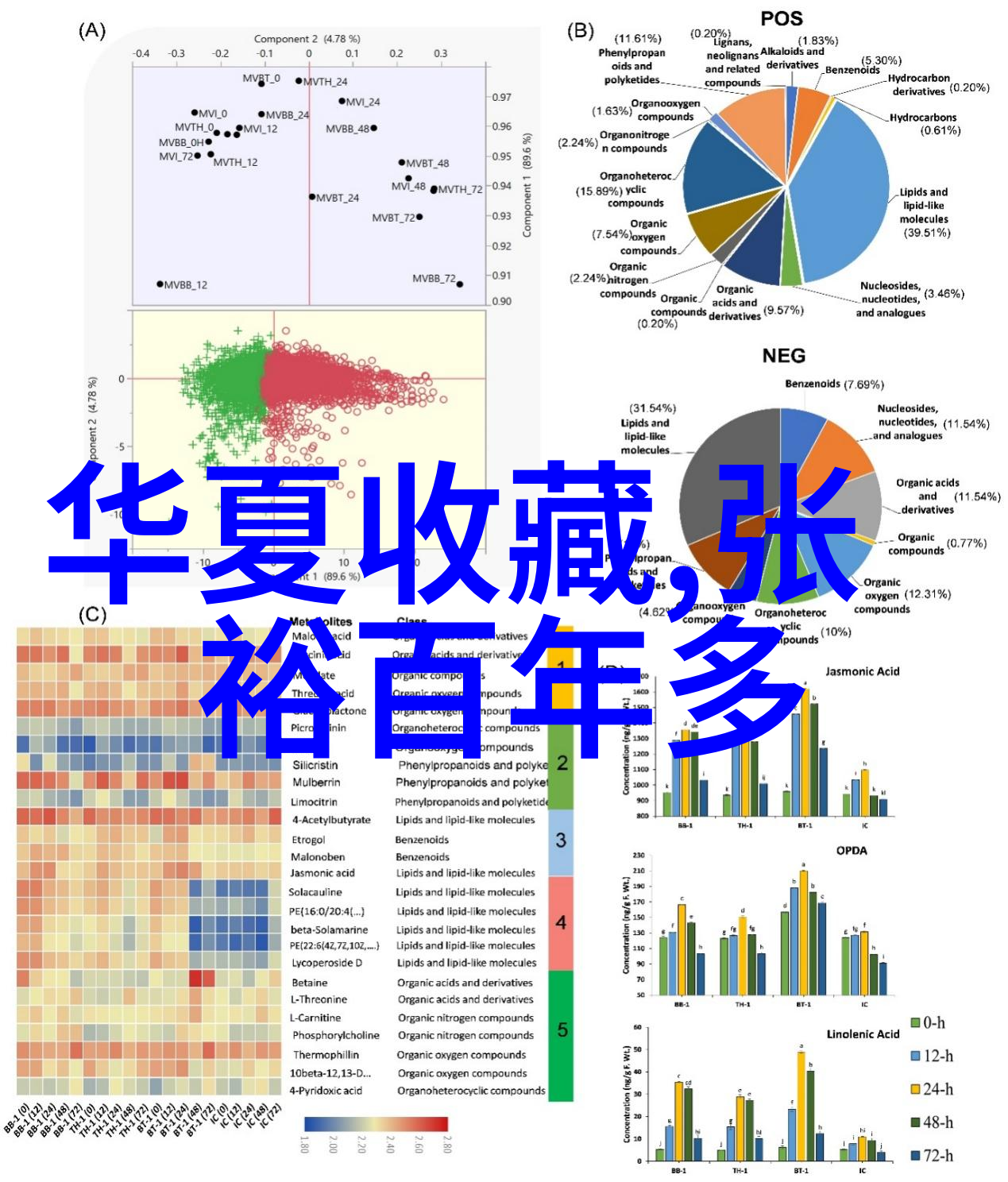 智慧探索的起点百度答主中心门户