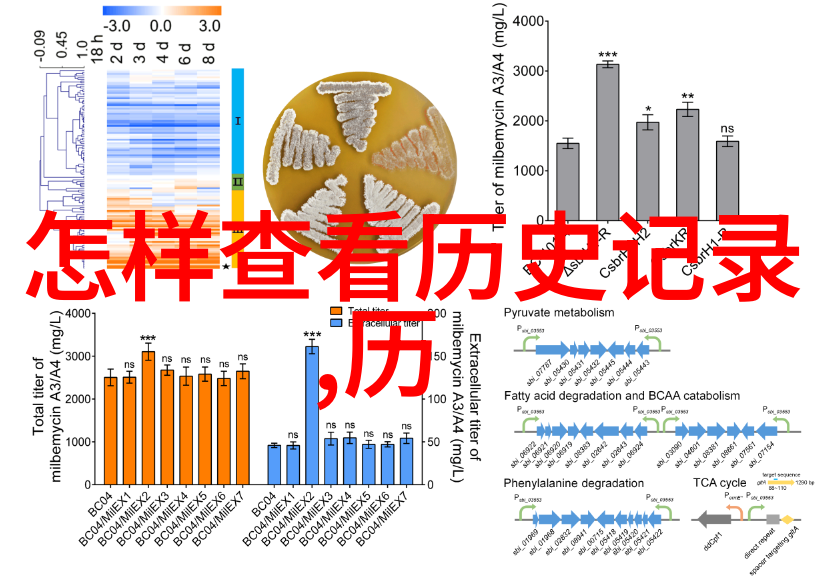 中国女子闯入海湖庄园邦豪斯特的秘密花园