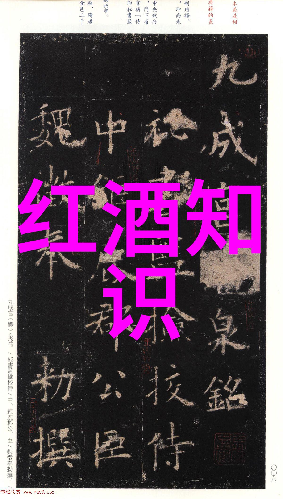 指数基金的价值评估揭秘如何正确计算其内在价值